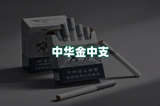 中华金中支
